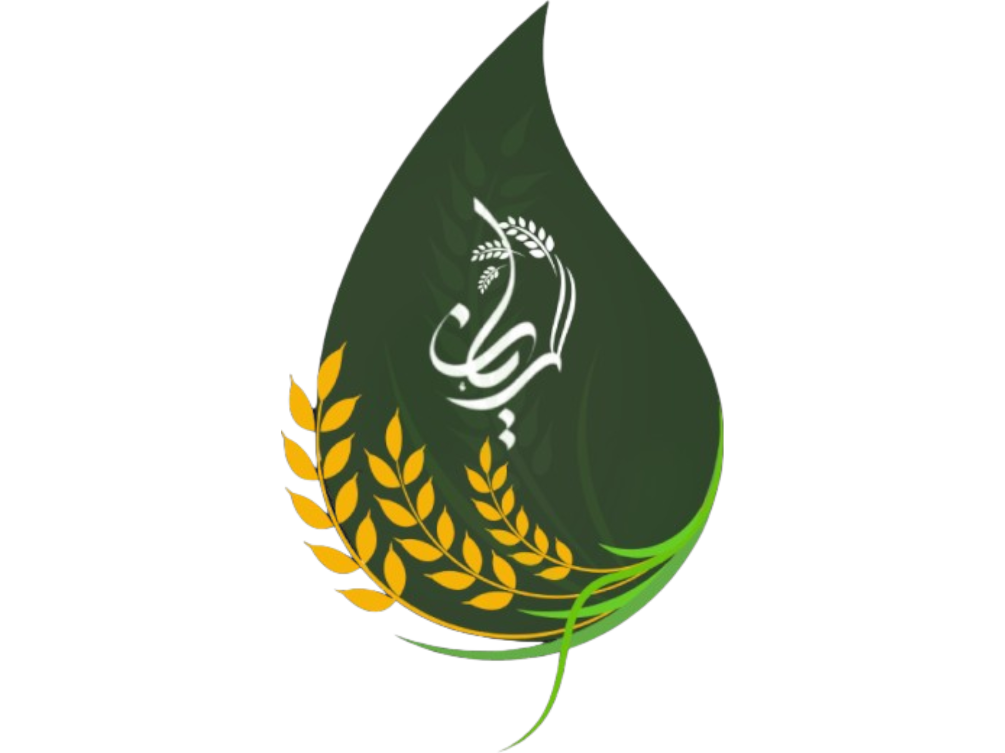 Alrayyan Foods - Software development and technology partner